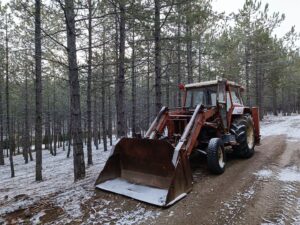 En äldre röd traktor med skopa står på en snötäckt skogsväg.