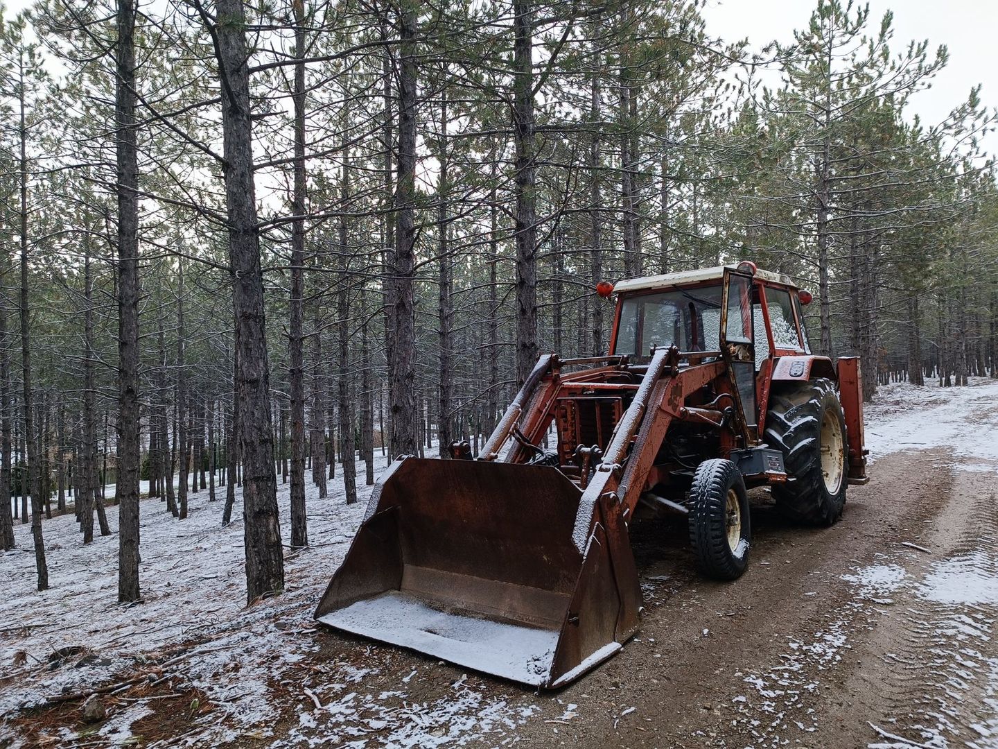 En äldre röd traktor med skopa står på en snötäckt skogsväg.